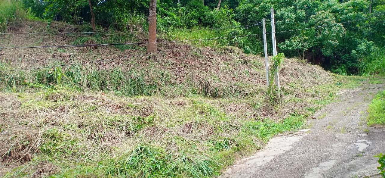 20p Land For Sale In Kandy Asgiriya