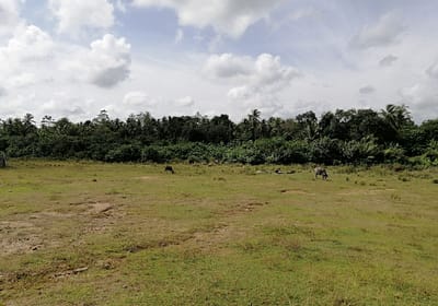 200 perches bare land for sale 20 min to Hikkaduwa for Rs. 3 lakhs (Per Perch)