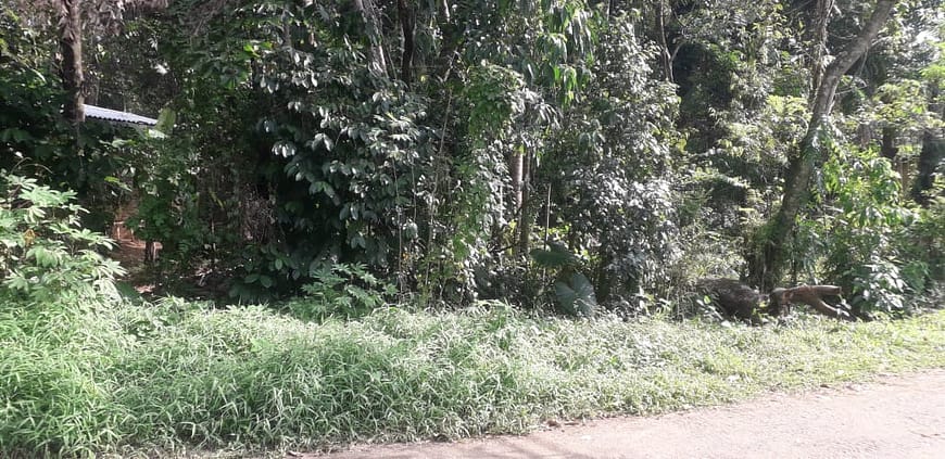Bare land for Sale Matale