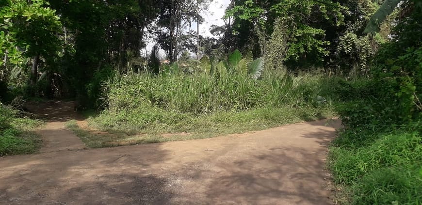 Bare land for Sale Matale