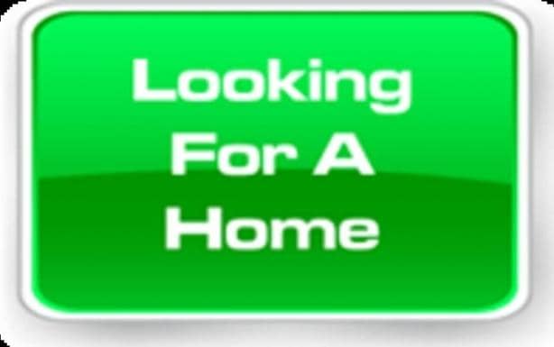 Wanted 3 Bedrooms unfurnished House